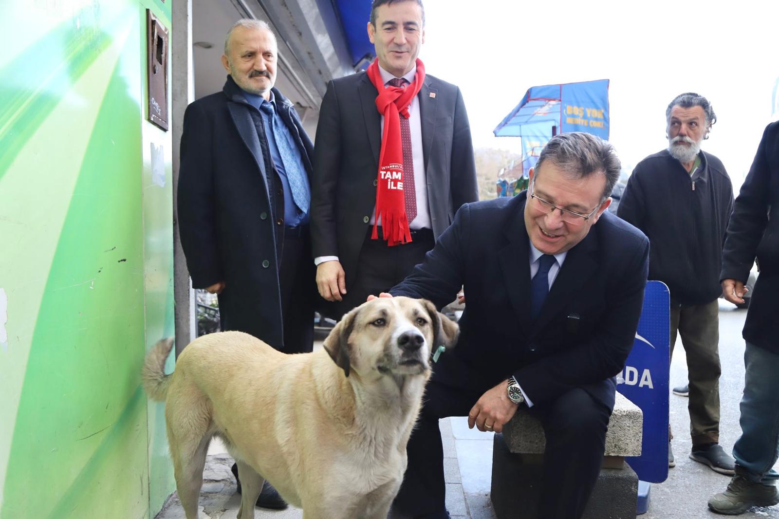 Sarıyer Belediye Başkanı Veteriner Hekim Mustafa Oktay Aksu Hayvanları Koruma Kanunu