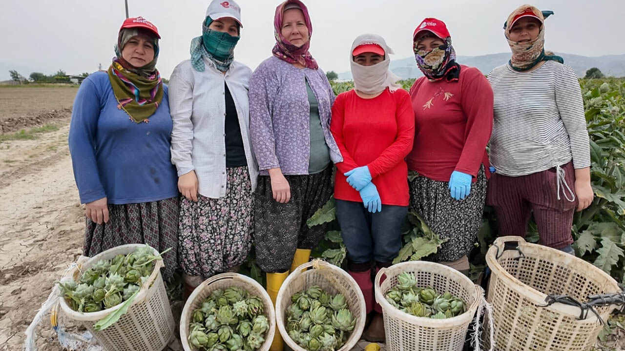 Efeler Kadin Emegi Tarimsal Urun Fabrikasi Calisma