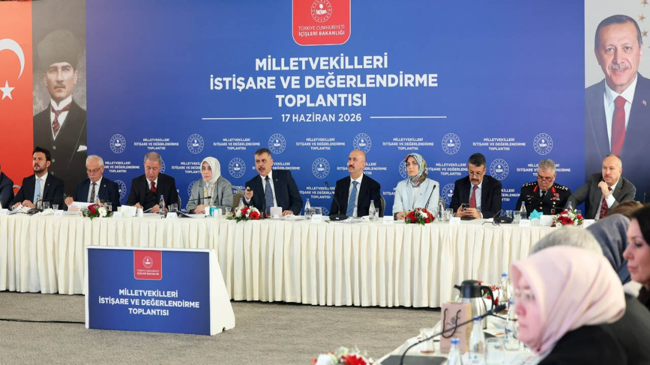 Yasa Cikti Sokak Hayvanlari Toplama